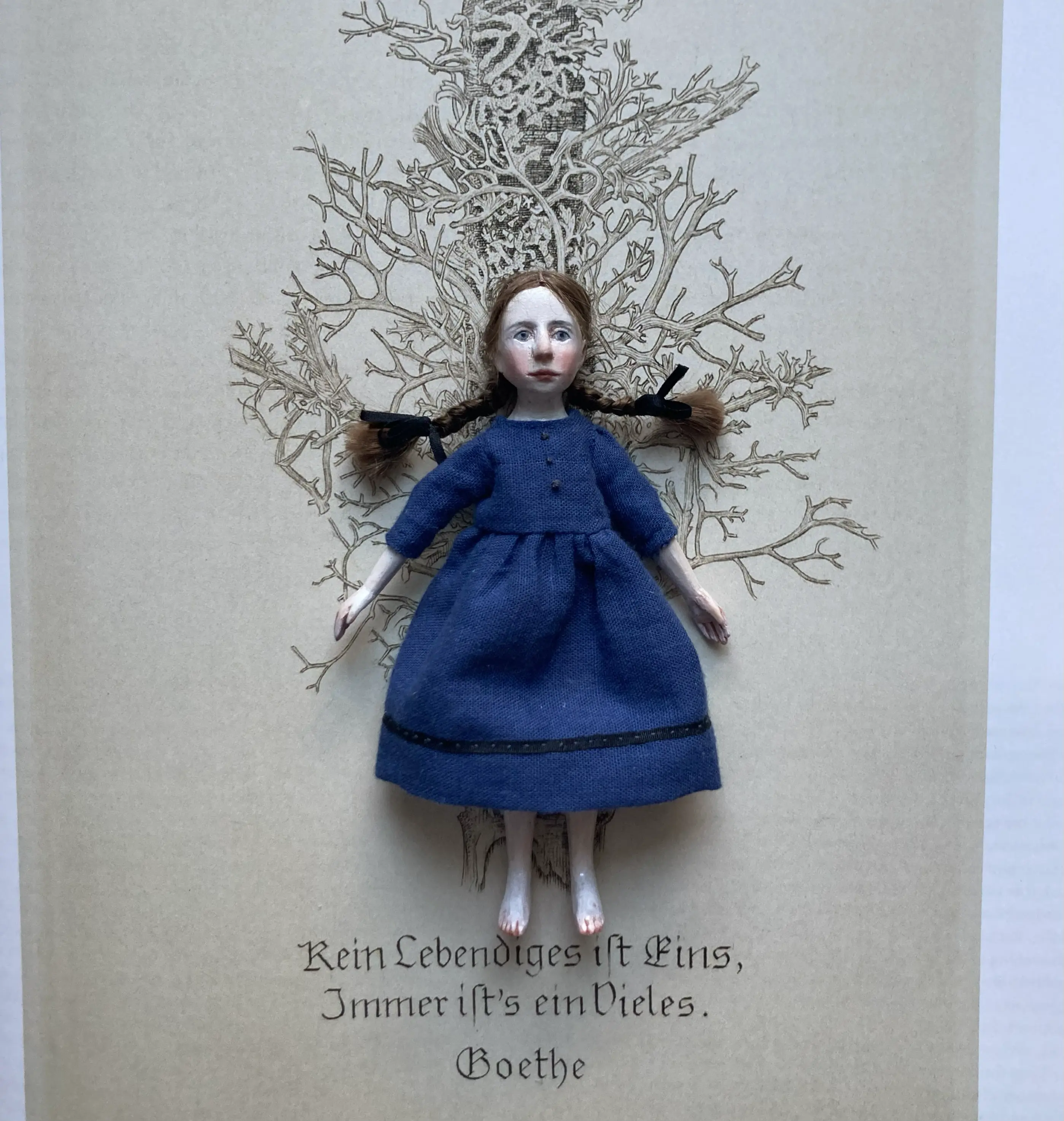Doll photo