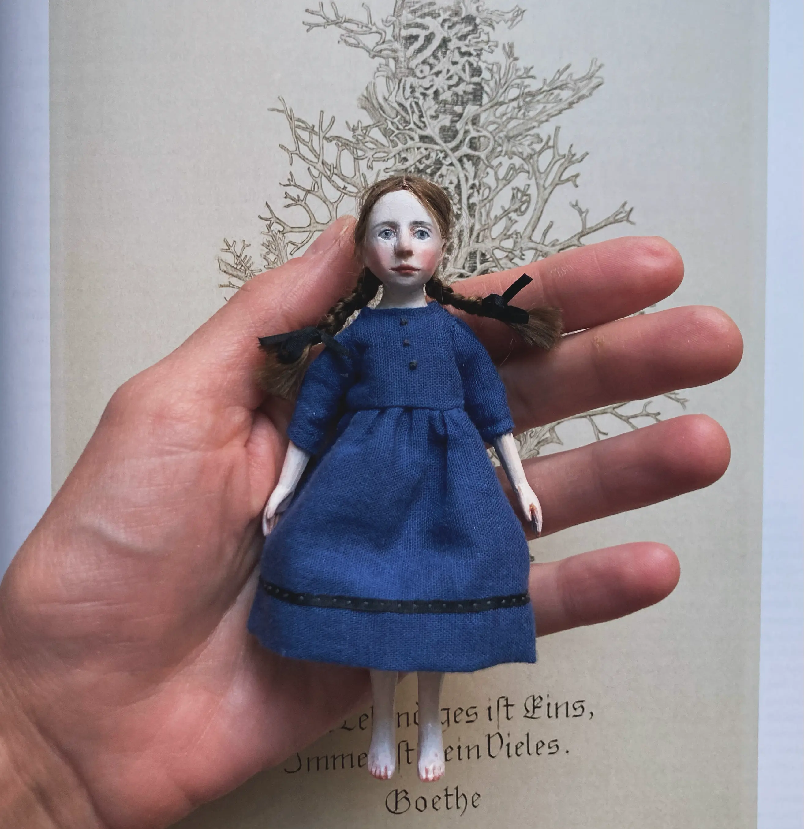 Doll photo
