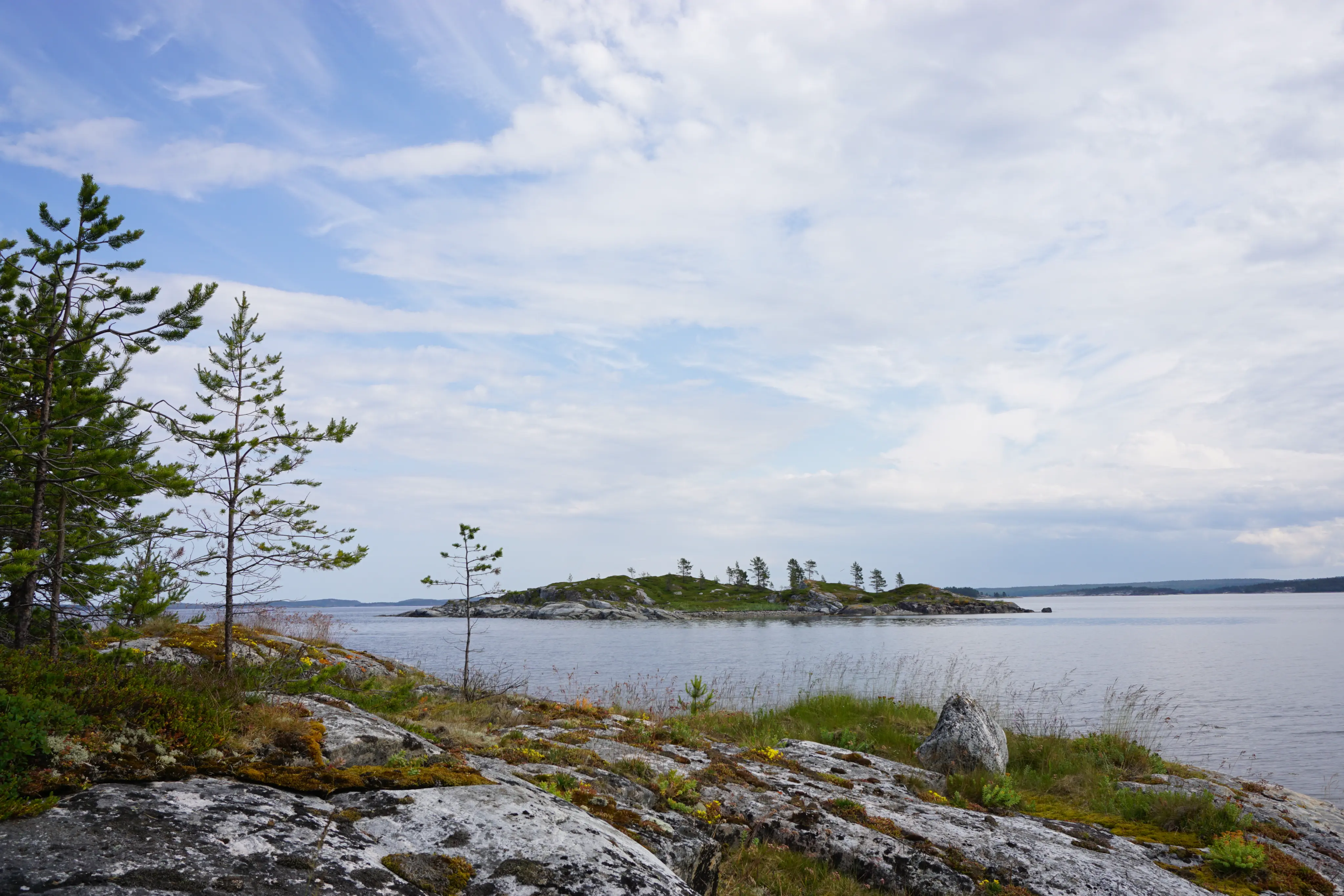 White sea